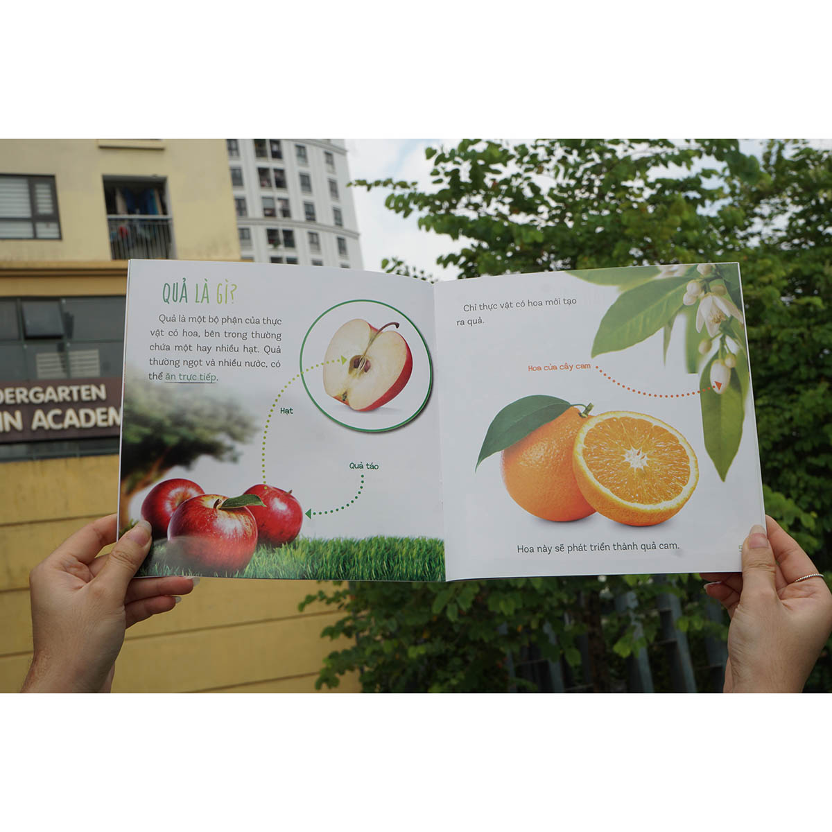 Combo : Healthy eating - Ăn uống lành mạnh