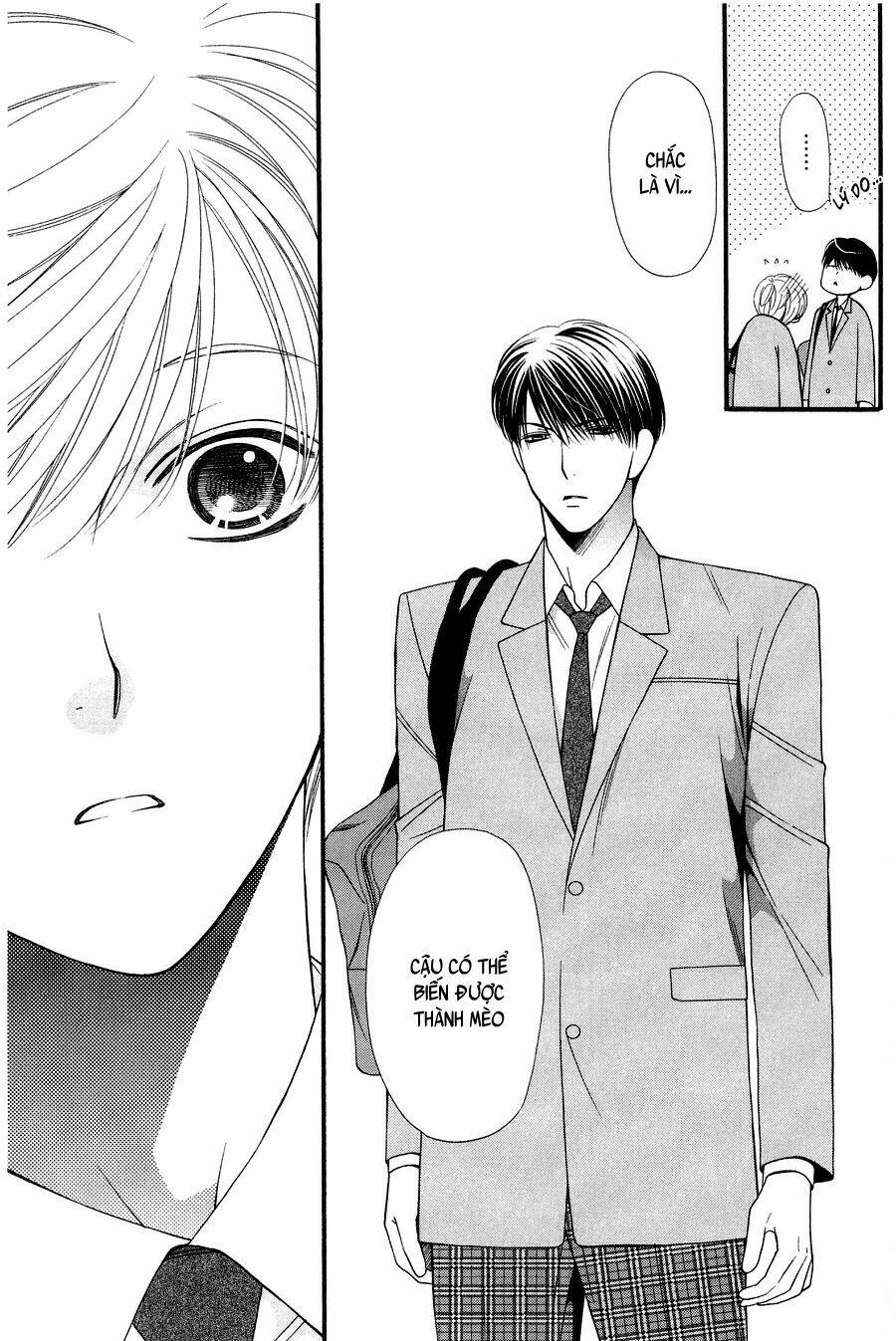 neko neko honey chapter 11 19