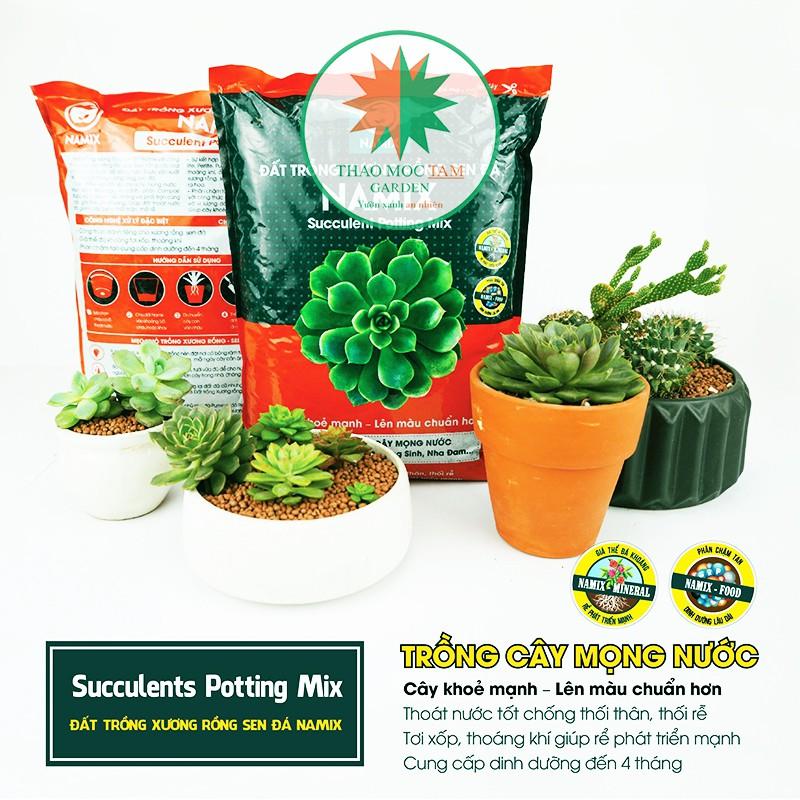 Đất trồng Sen đá Namix - Chuyên trồng cây mọng nước như Xương rồng, sen đá, nha đam...