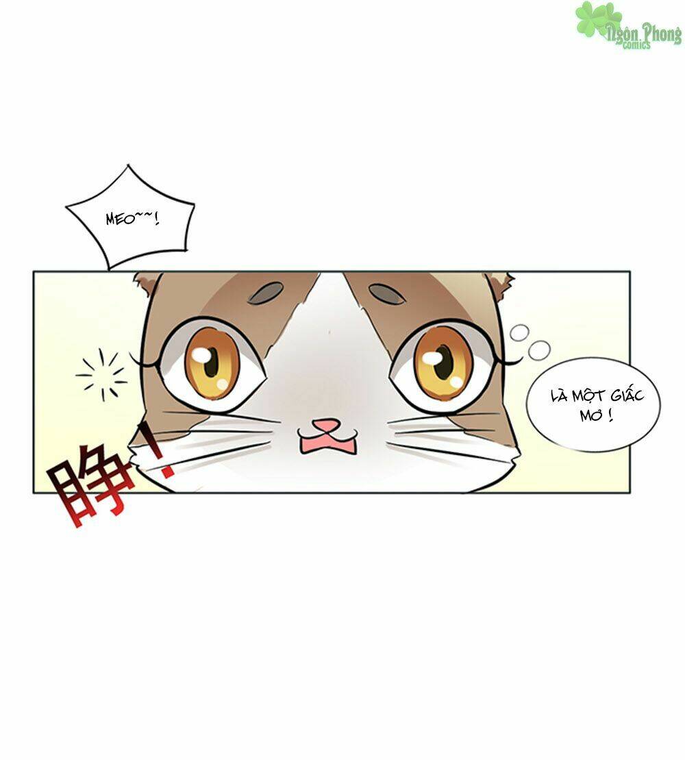 hai chú mèo totem chapter 8 22