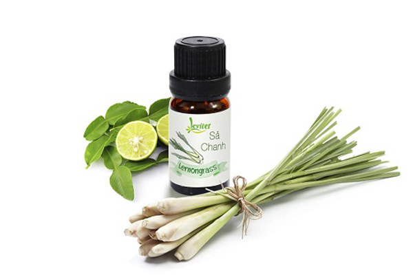 Combo 3 Chai Tinh Dầu Leviter Thư Giãn 10ml Sả chanh, Oải hương, Bạc hà - Relax Essential oil