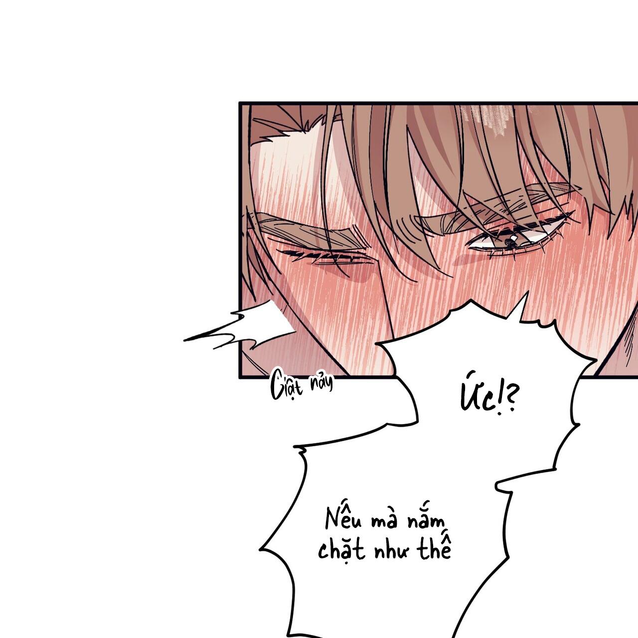 làm dâu nhà tài phiệt họ kang chapter 46 48