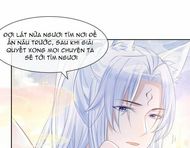 hắc hóa nam chính trực tuyến nuôi thỏ chapter 11 81
