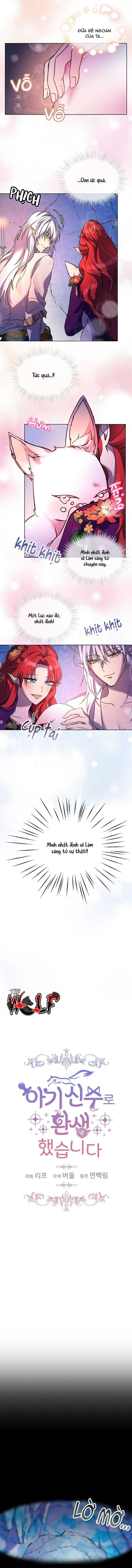 tái sinh thành bé thần thú nhỏ chapter 2 2