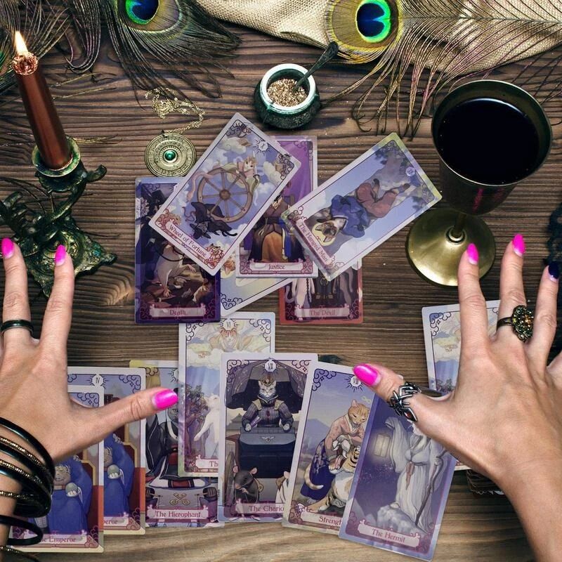 Bộ Bài Cat Tarot