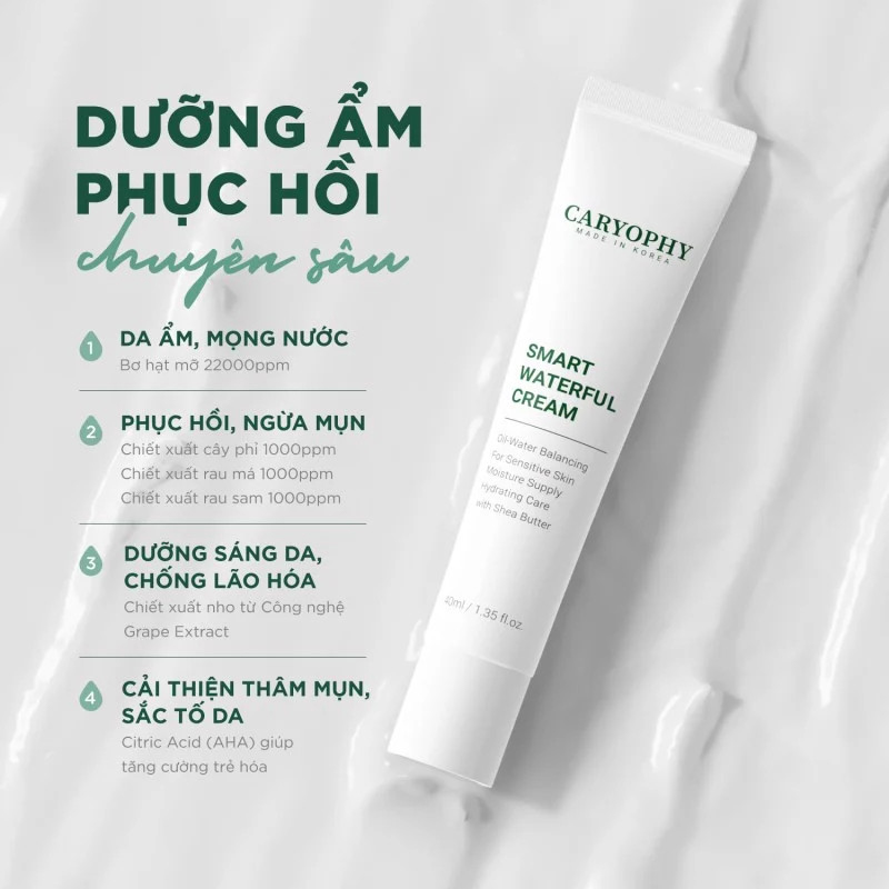 Kem dưỡng cấp nước và phục hồi da mụn Caryophy Smart Waterful Cream 40ml