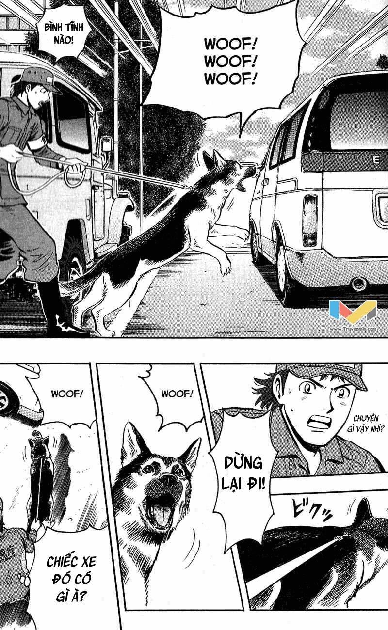 animal sense chapter 8 28