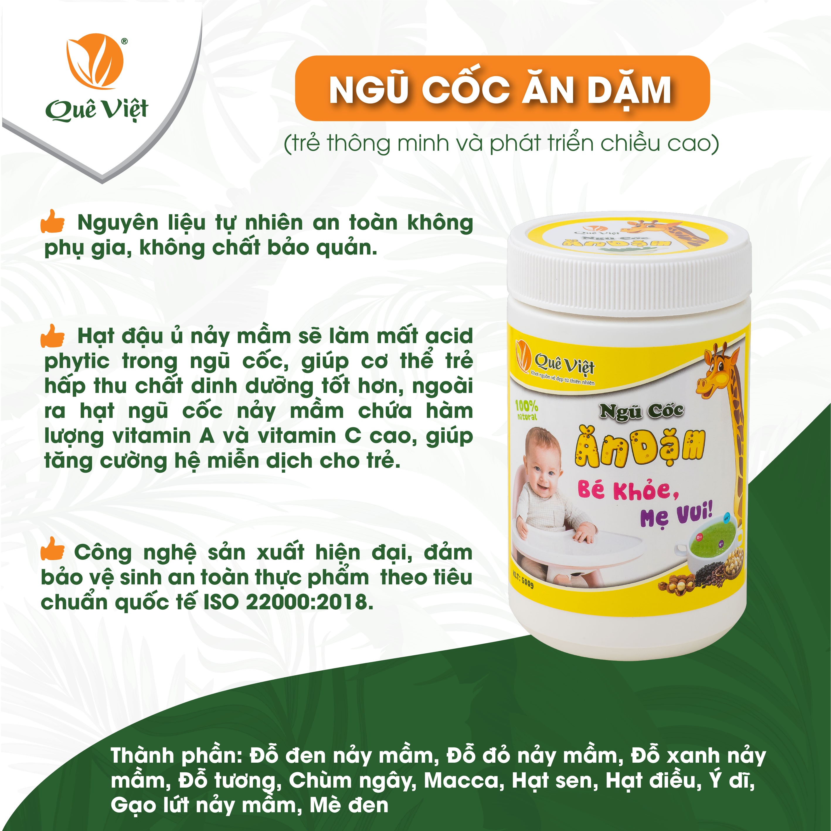 Ngũ cốc ăn dặm cho bé Quê Việt bổ sung dinh dưỡng, tăng sức đề kháng (2 hộp x 500gr)