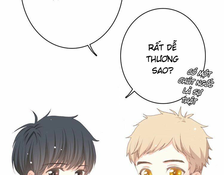 con tim rung động 3 chapter 19 127