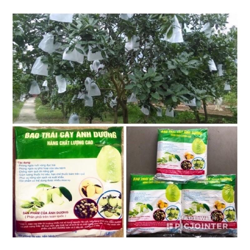 TÚI BAO TRÁI BƯỞI-TÚI BAO TRÁI CÂY ÁNH DƯƠNG 100cái