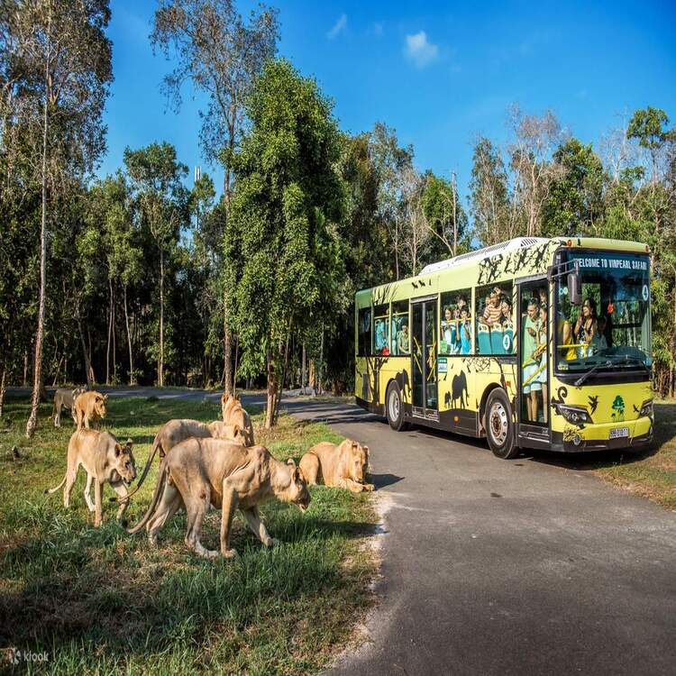 Phú Quốc: VinWonders - Vinpearl Safari - Hòn Thơm Nature Park - Cáp Treo Vượt Biển