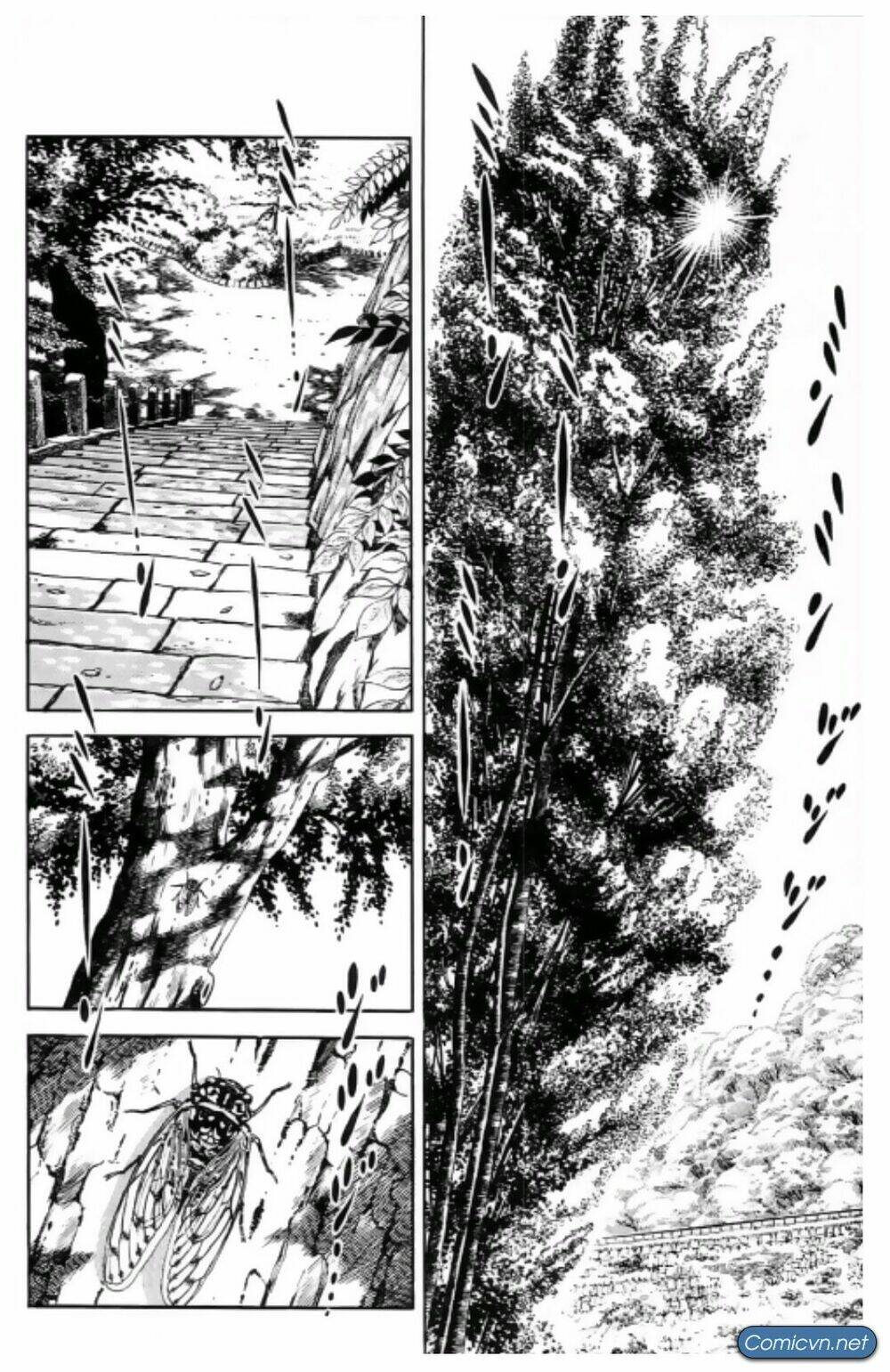 kiếm sĩ musashi chapter 8 2
