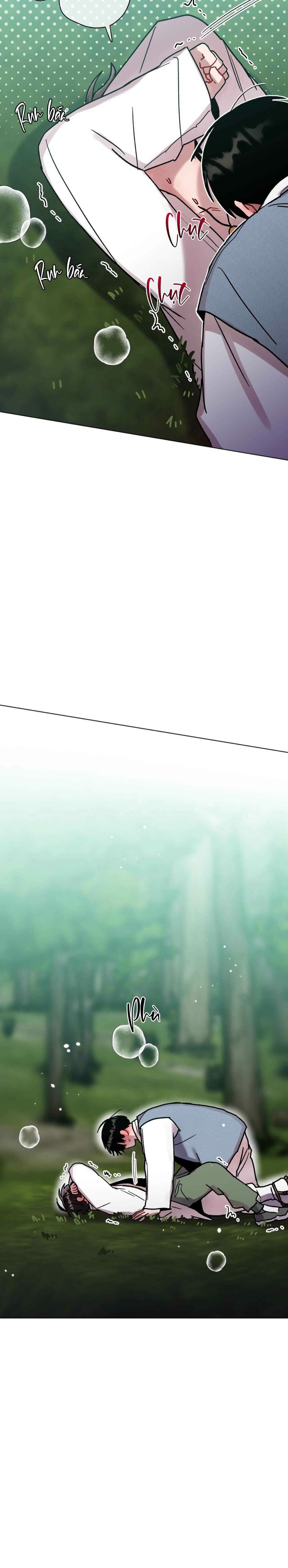 cơn mưa rào mùa hạ chapter 88 13