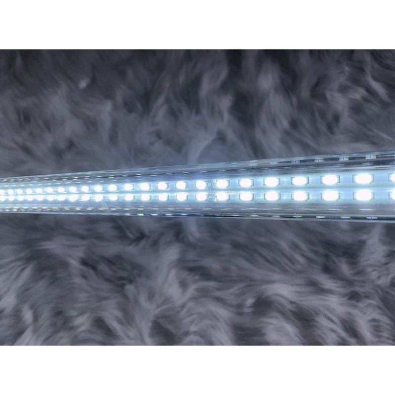 Đèn LED Cá Rồng Xuân Meilong 60cm Màu Trắng. Phụ Kiện Hồ Cá Đèn LED Cá Rồng Xuân Meilong 60cm