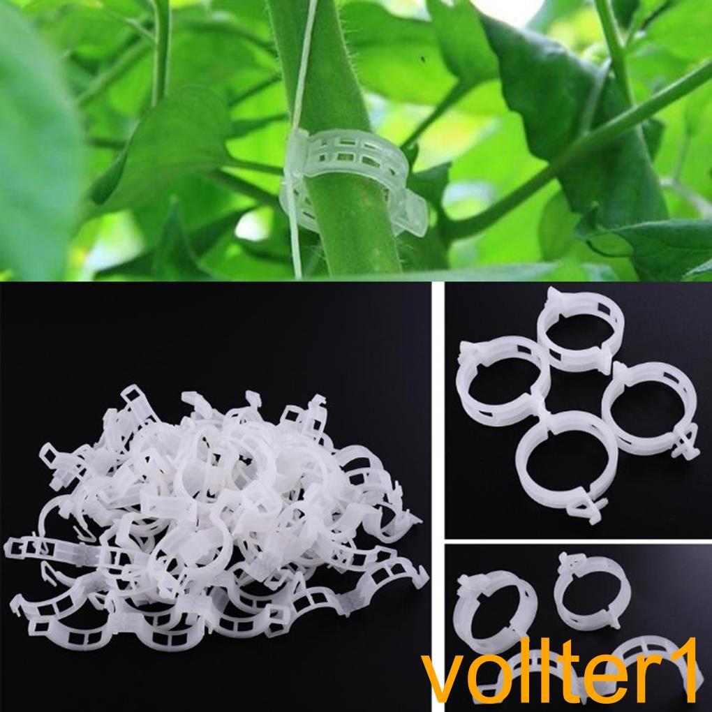 50PCS/Set Reusable Plastic Plant Support Clips Plants Hanging Vine Garden Greenhouse Vegetables Tomatoes Clip【vollter1】