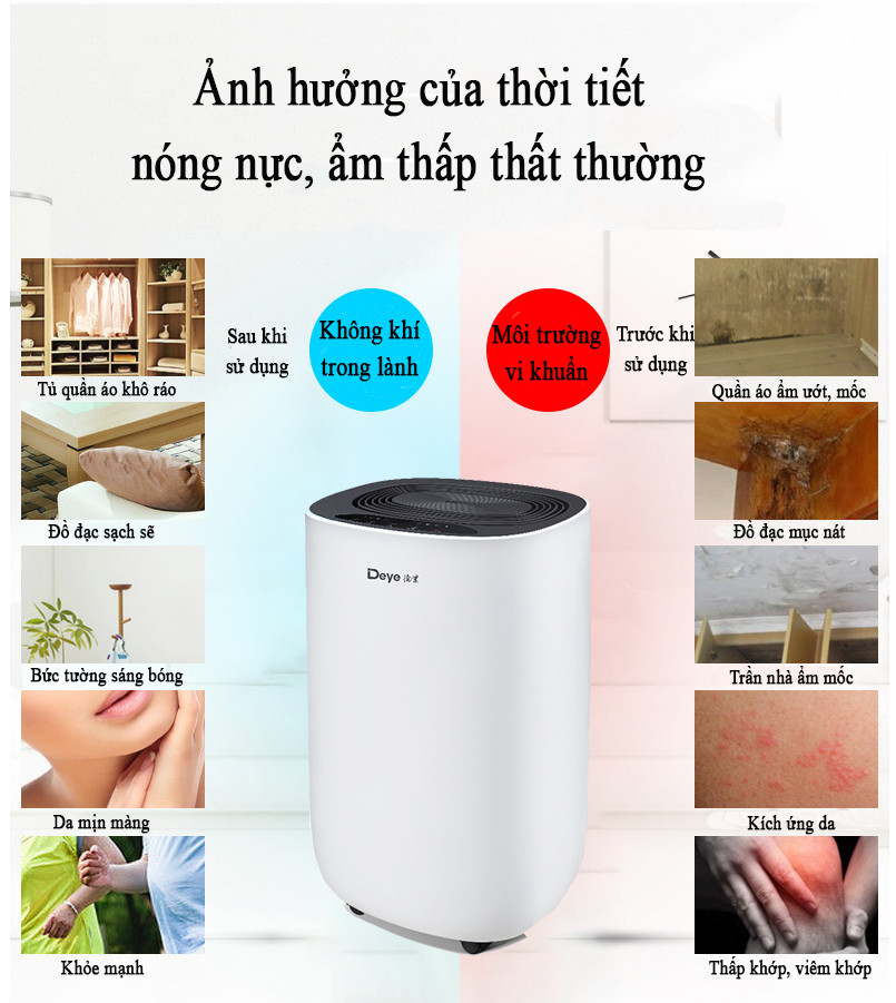 Máy hút ẩm không khí Deye DY-612S công nghệ mới độ ồn siêu thấp, thanh lọc ion âm, hẹn giờ thông minh Hàng Chính Hãng