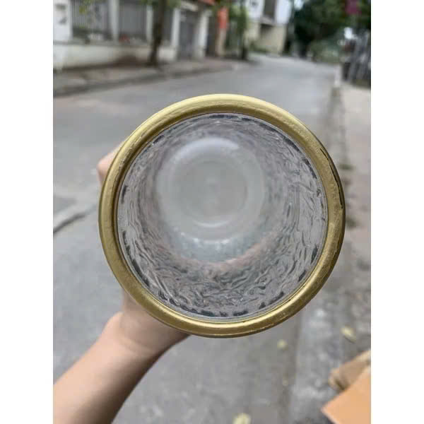 Lọ Hoa Thủy Tinh Trong Suốt &amp; Bình Thủy Tinh Hổ Phách Cắm Hoa Trang Trí Nhà Cửa - HÀNG CHÍNH HÃNG MINIIN