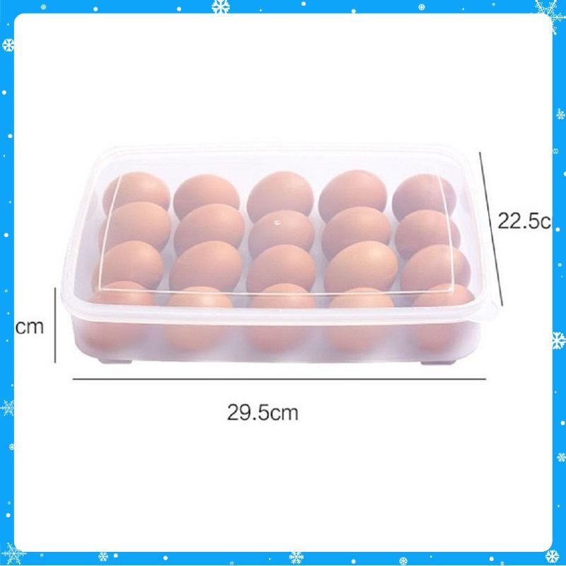Hộp đựng trứng 24 quả tiện dụng Khay trứng 1 tầng nhựa cao cấp - Hàng Chất Lượng