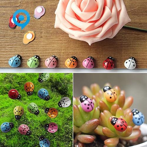 Combo 20 Con Bọ Rùa Mini Nhiều Màu Sắc Dùng Trang Trí Cây Cảnh