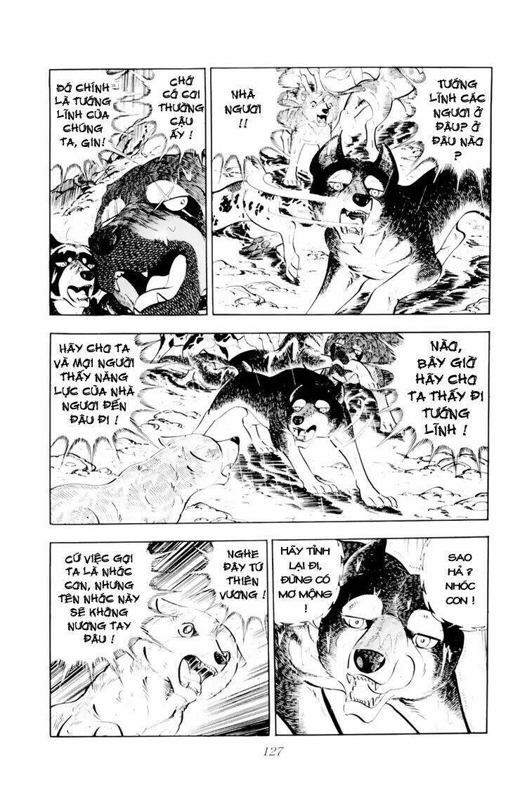 chú chó có nghĩa - ginga nagareboshi gin chapter 33.1 21