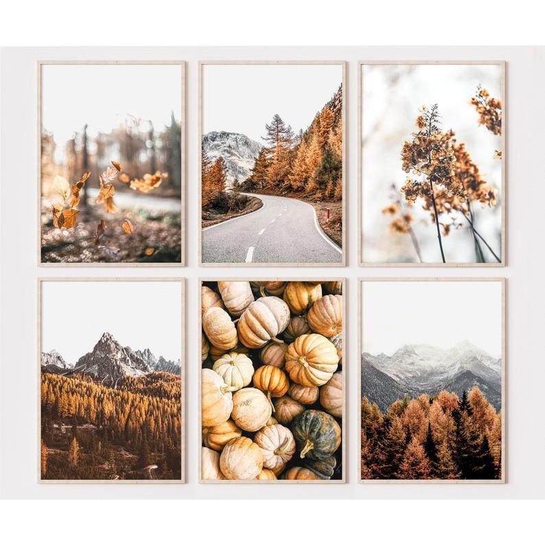 Bộ 6 tranh treo tường cam đất in canvas có đinh tặng kèm
