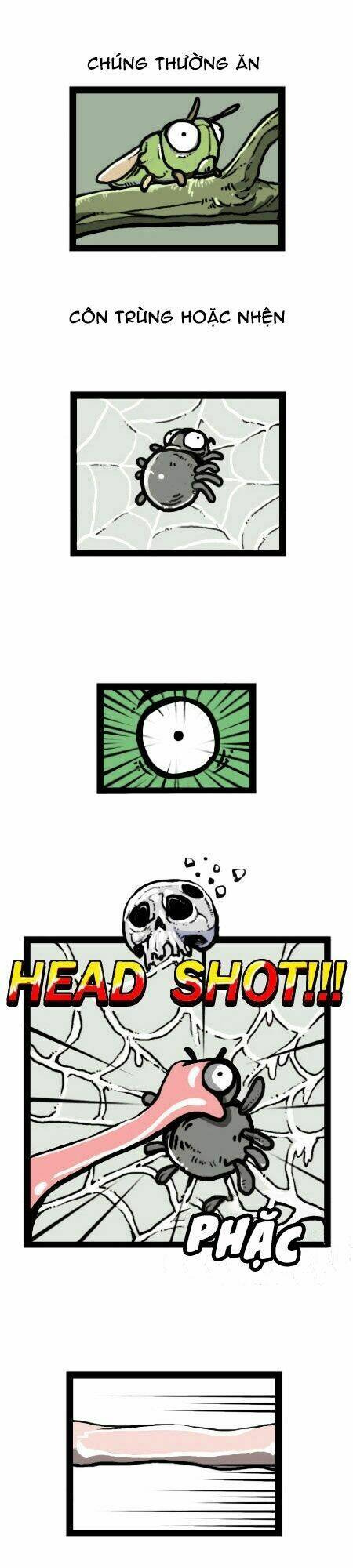 earth, human, and animal chapter 19 14