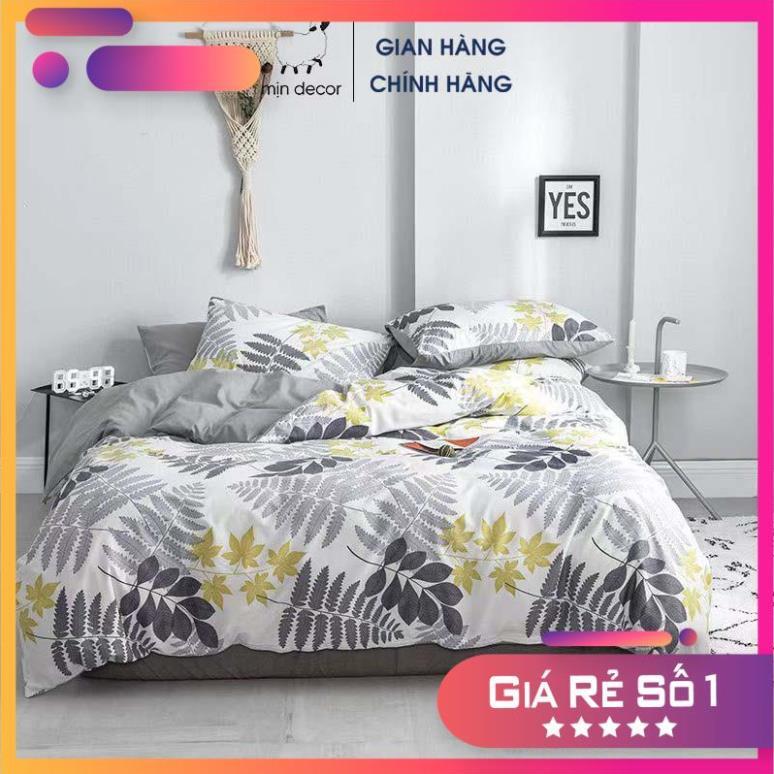 Bộ chăn ga gối cotton living mềm mại thoáng mát bo chun miễn phí