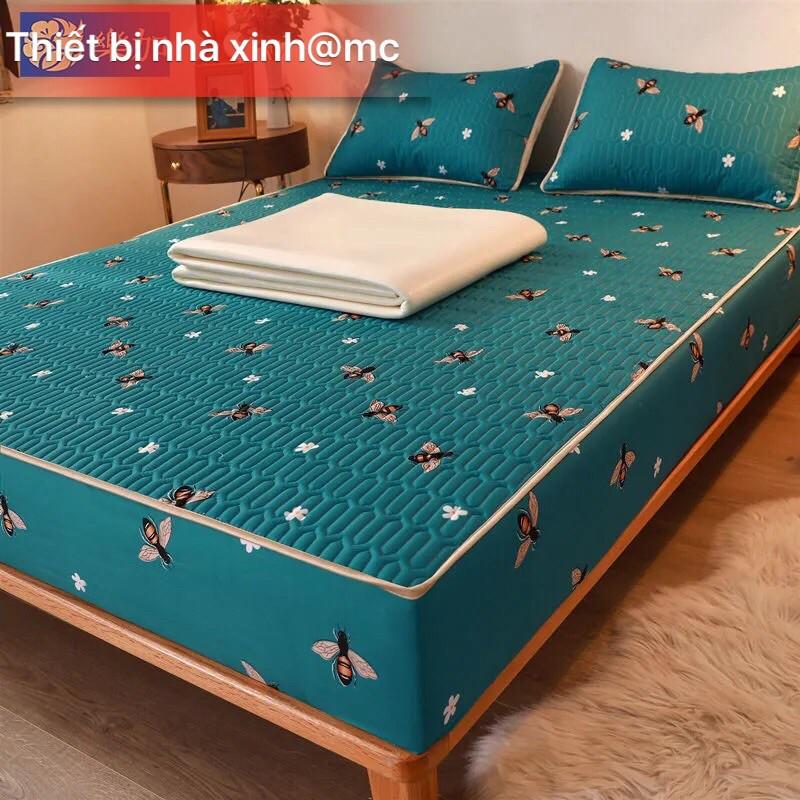 Set ga gối điều hoà bo chun mẫu 2021
