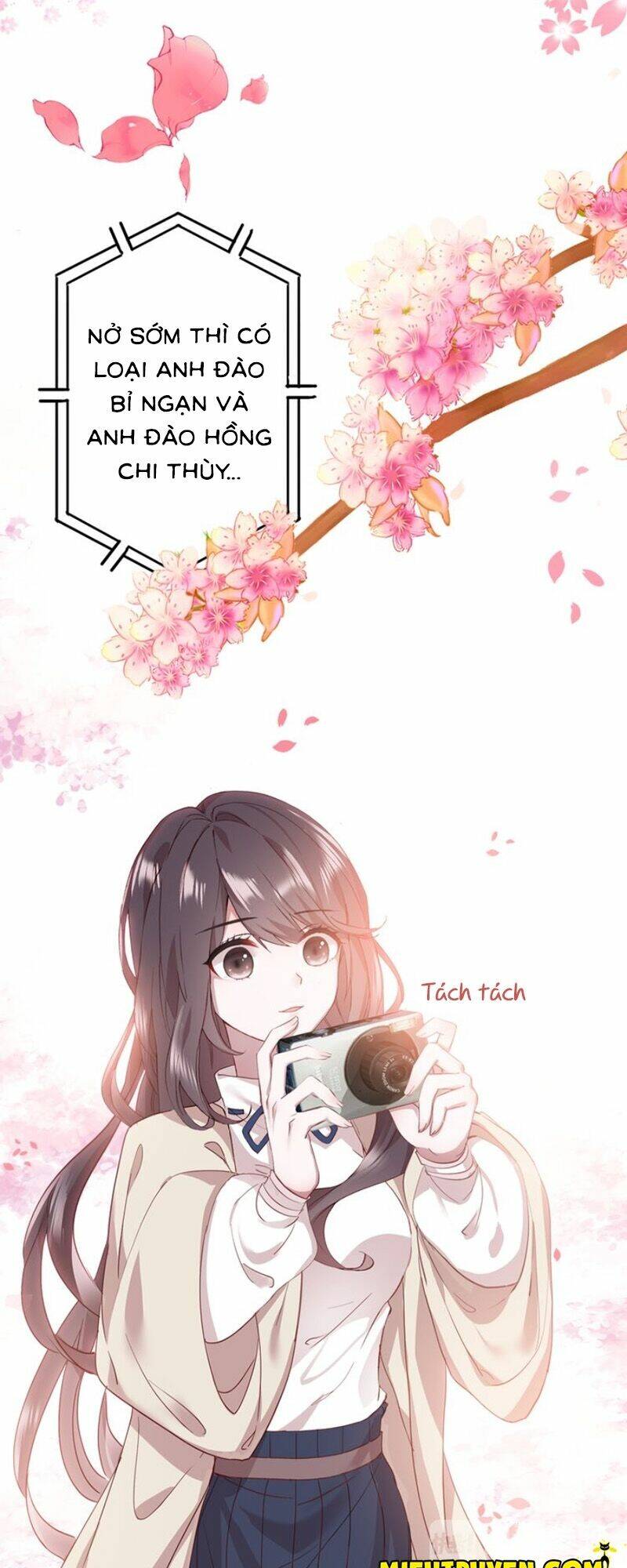 nhất sinh nhất thế mỹ nhân cốt chapter 4 8