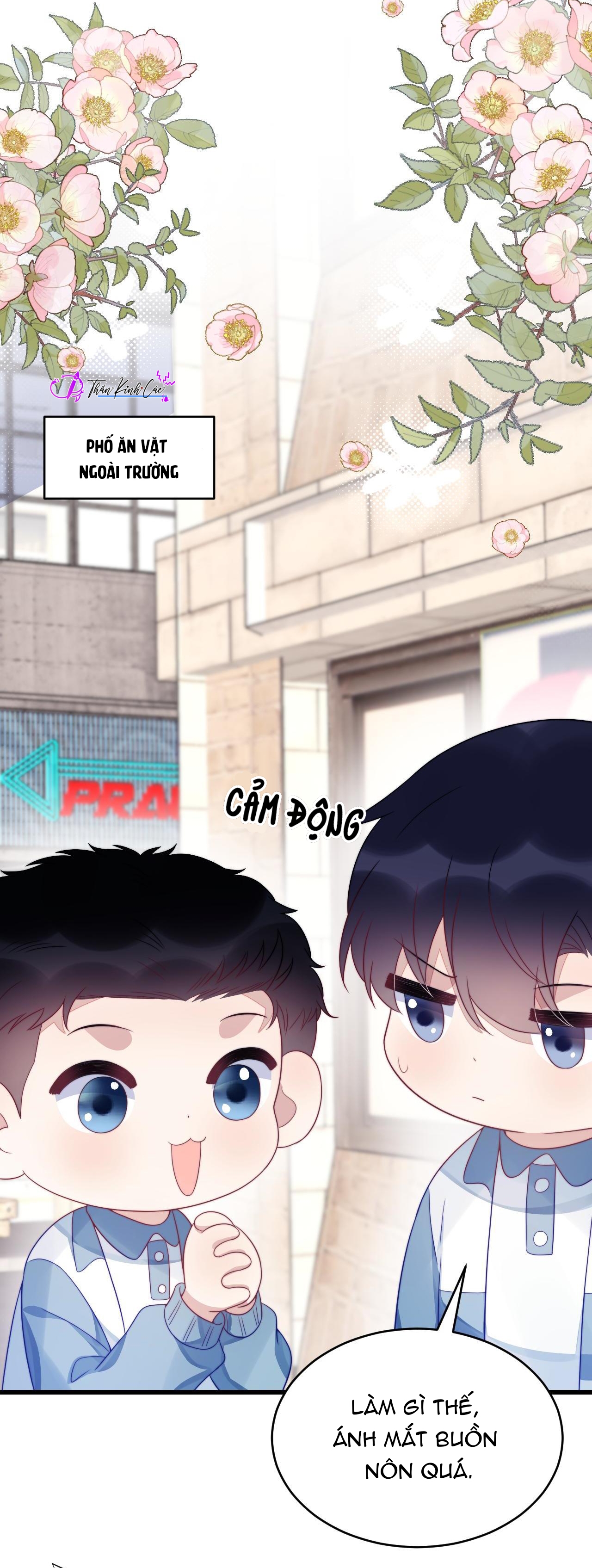 mèo hoang nhỏ của học bá quá chọc người rồi chapter 36 33