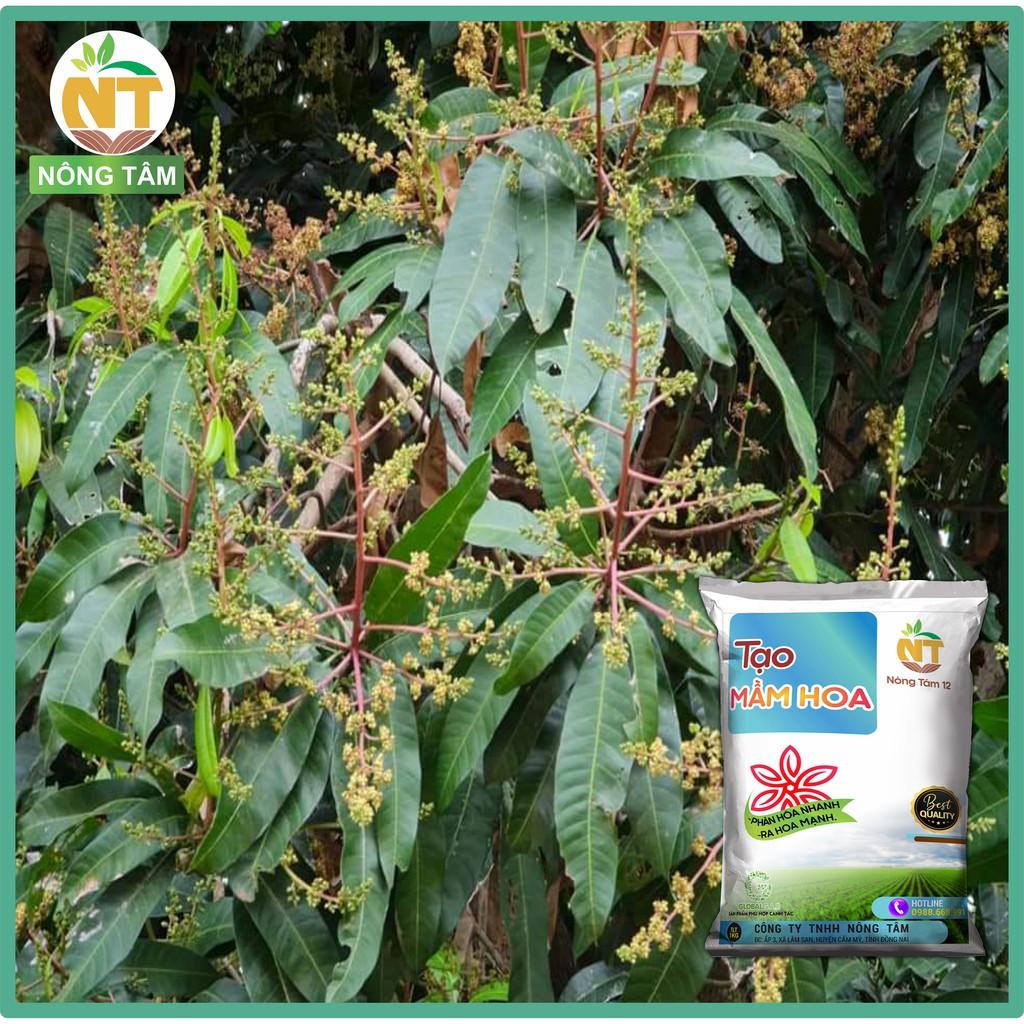Phân bón lá, phân bón Siêu tạo mầm hoa, kích ra hoa cực mạnh chuyên cho cây ăn quả, gói 1kg