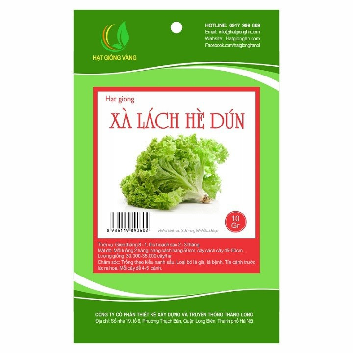 Hạt giống Xà lách hè dún 1