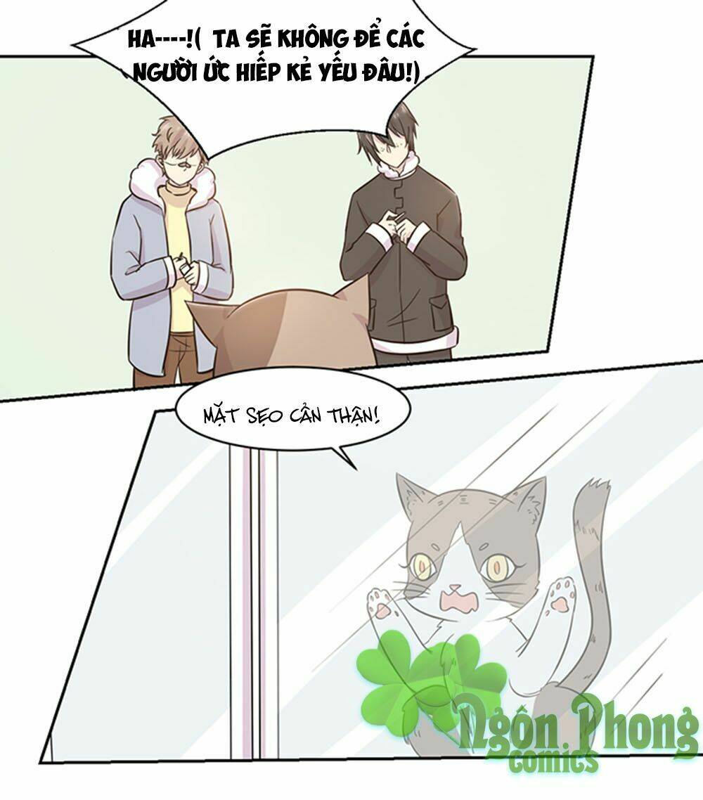hai chú mèo totem chapter 22 14
