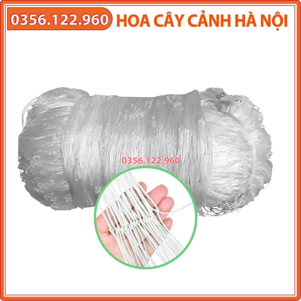 1kg Lưới làm giàn dây leo sợi kép, bền chắc cho bầu bí mướp .....