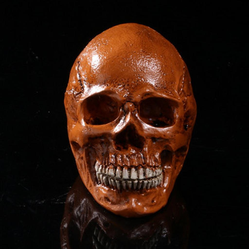 Đầu Lâu Giả Bằng Resin Dùng Trang Trí Halloween Độc Đáo