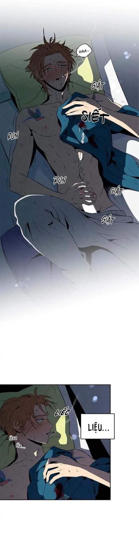 bona sort chapter 17 15