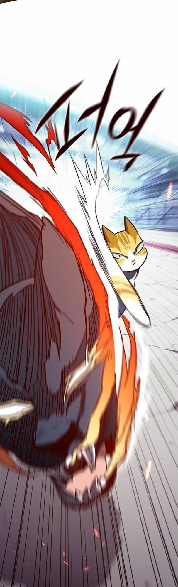 biến thân thành mèo chapter 163 17