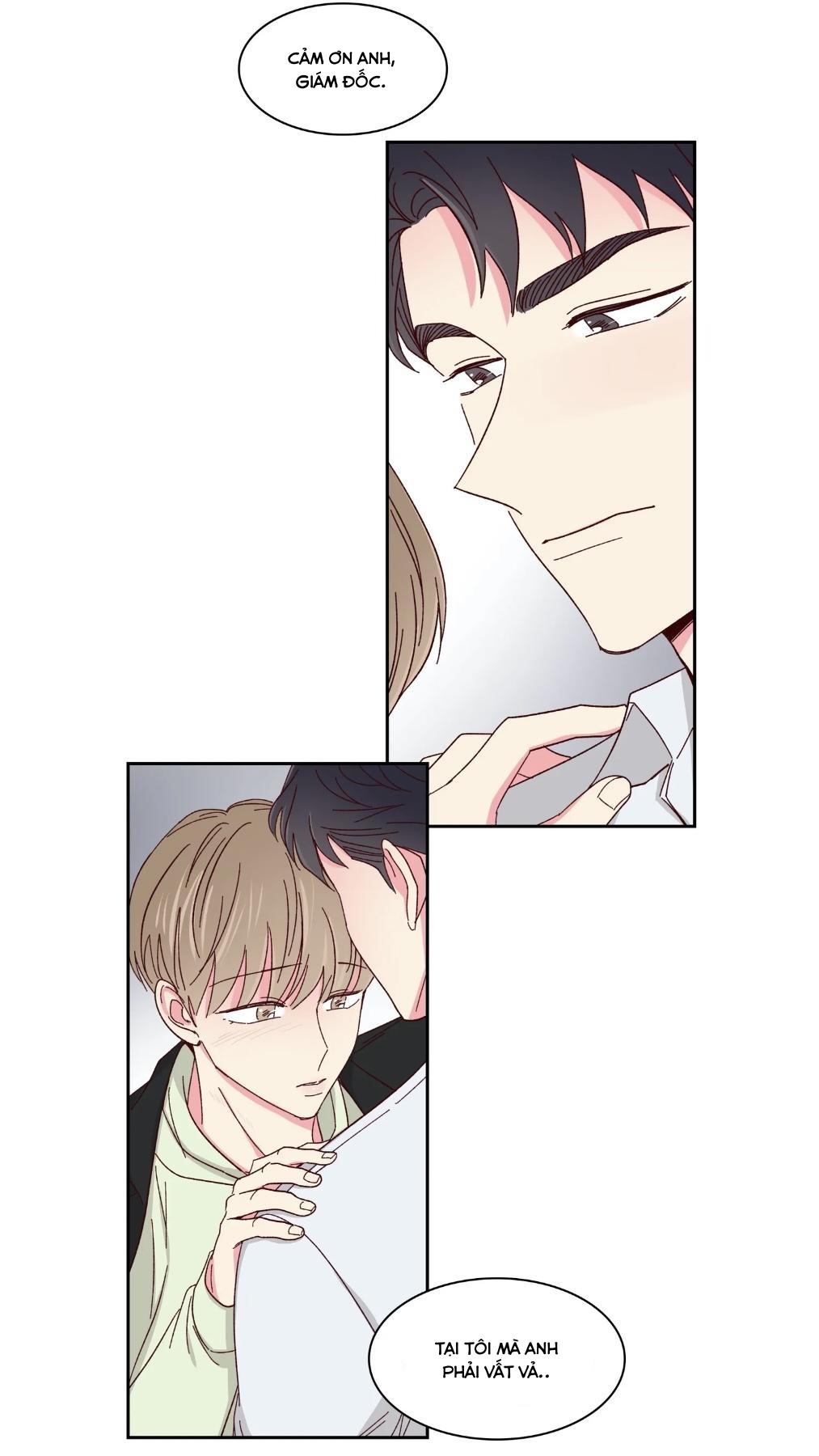 món tráng miệng của sếp tổng chapter 59 4