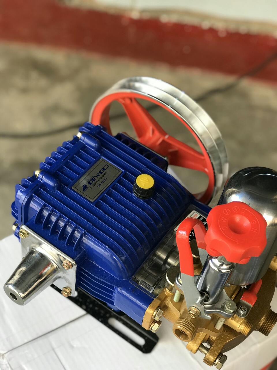 ĐẦU RỬA XE - ĐẦU PHUN XỊT RỬA 2HP DEWOO DW-1022G