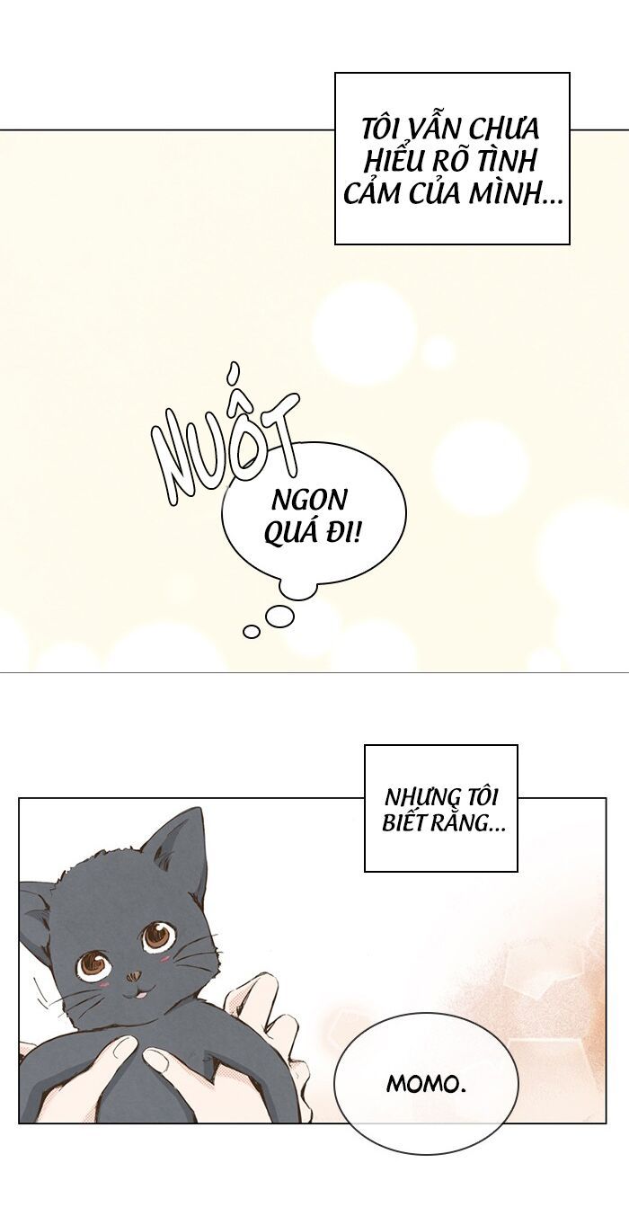 honey! honey! marry me! chapter 15 34