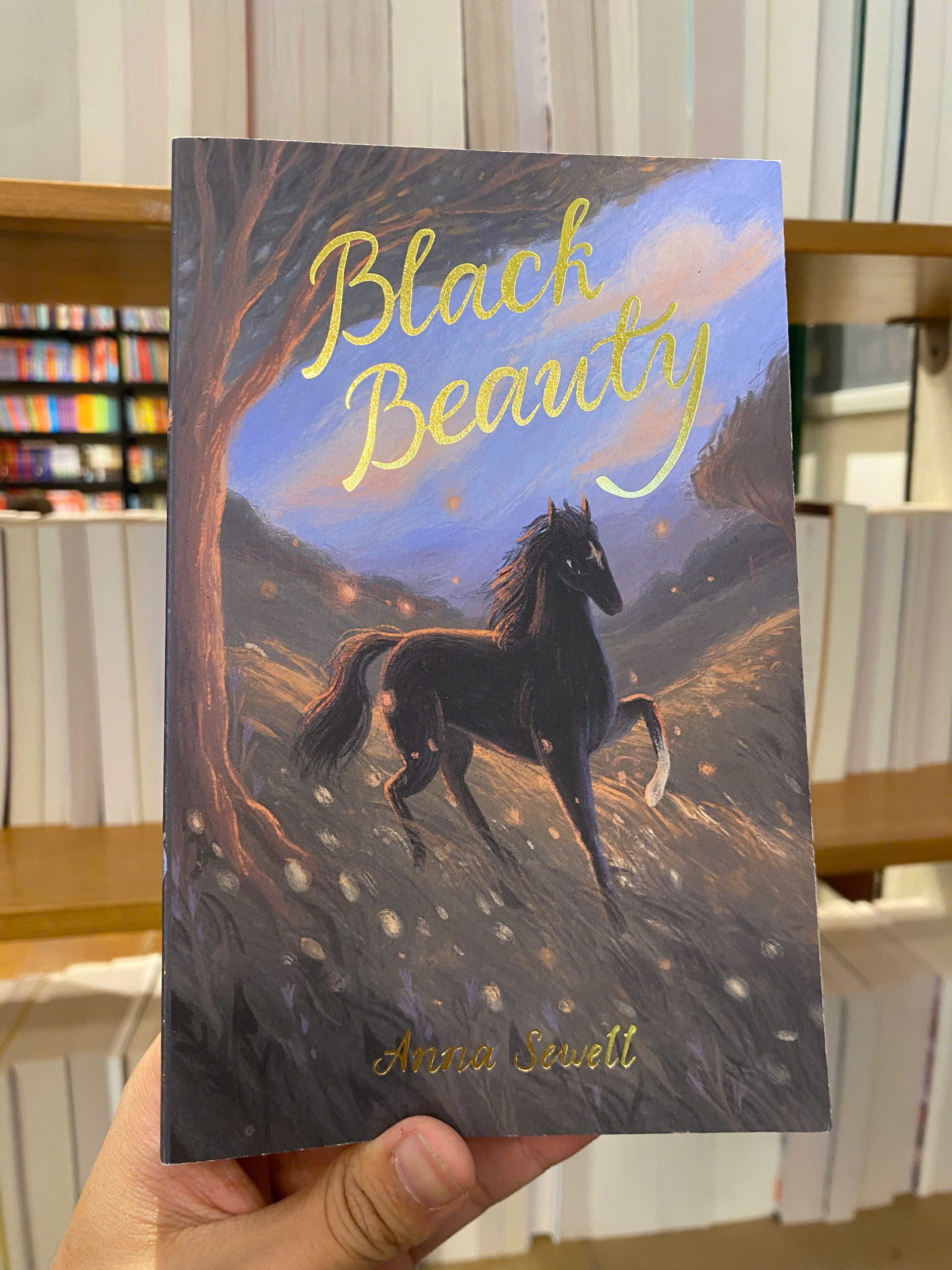 Sách - Black Beauty by Anna Sewell | Children Classic Novel / Ngoại văn Kinh điển Nhập khẩu