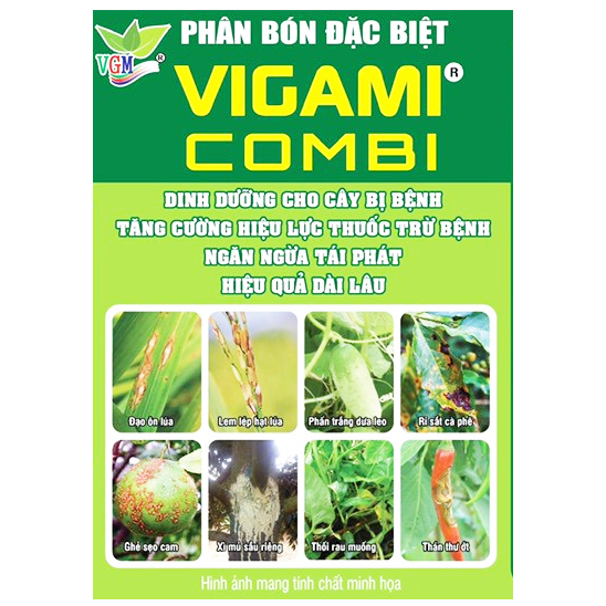 Phân bón đặc biệt VIGAMI COMBI 250ML