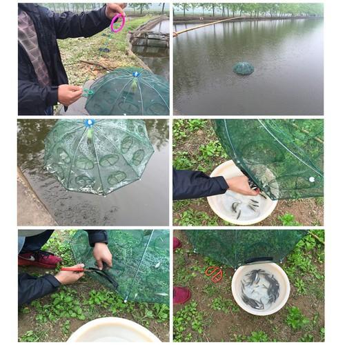 Lưới Ô Bát Quái chuyên bắt các loại cá,lươn,,tôm,cua..SANAMI FISHING