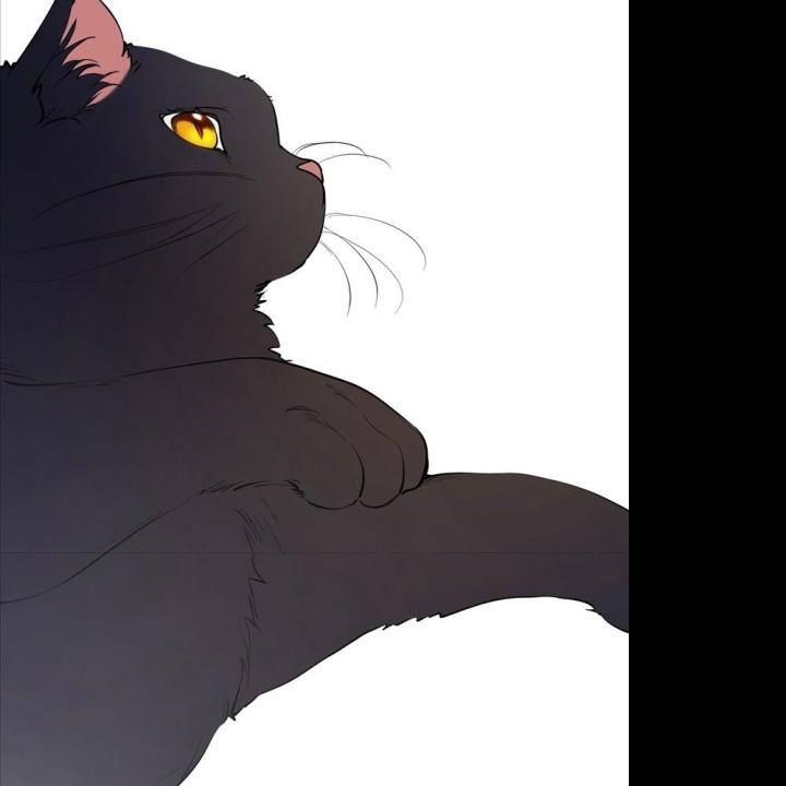 truyện cổ tích trong lòng mèo chapter 0 99