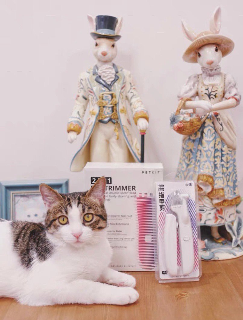 TÔNG ĐƠ ĐA NĂNG PETKIT 2IN1 CHUYÊN DỤNG CẮT TỈA CHO THÚ CƯNG