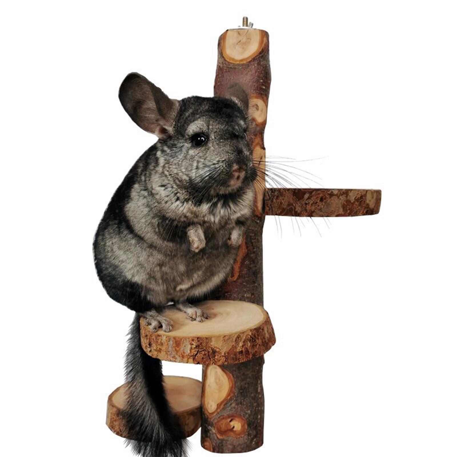 Hamster Chew Toys Gerbil Rodents Toy Stairs Resting Wooden Climbing Ladder