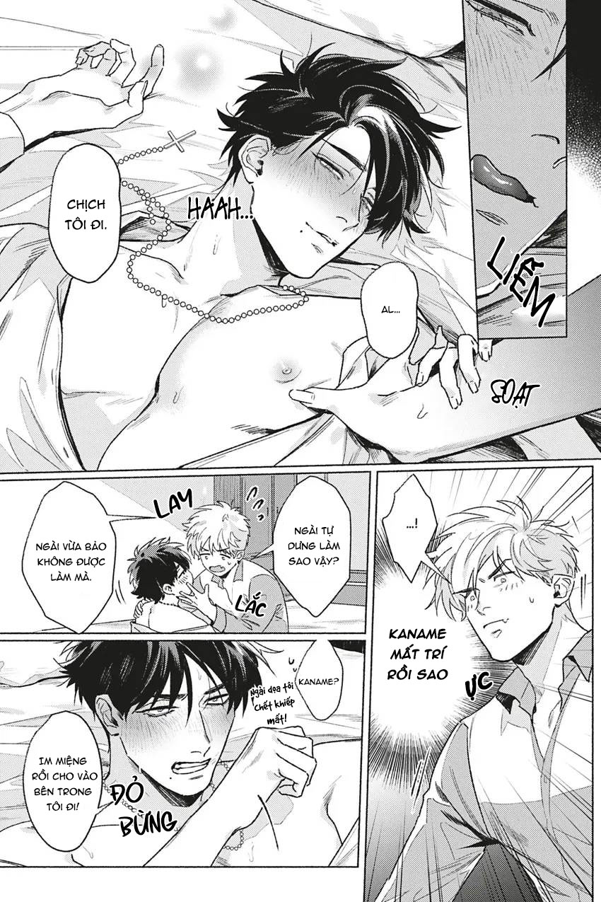 dòng máu bạch kim chapter 3 17