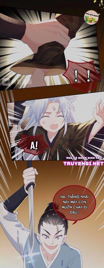 hắc hóa nam chính trực tuyến nuôi thỏ chapter 3 12