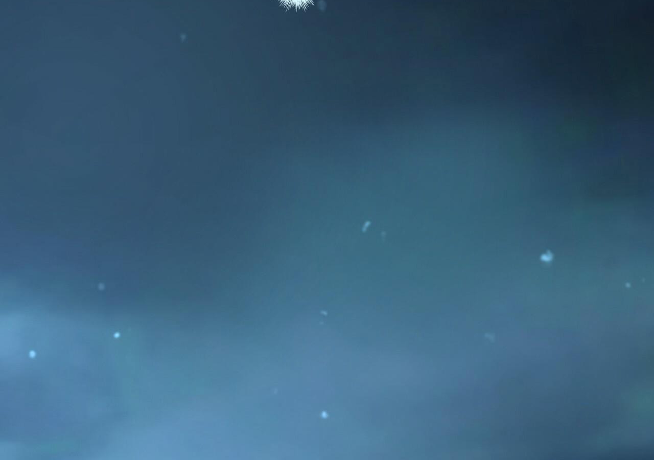 đàn thỏ của habibi chapter 20 87