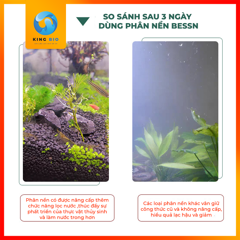 Phân nền thủy sinh - đất bùn cỏ nước cao cấp